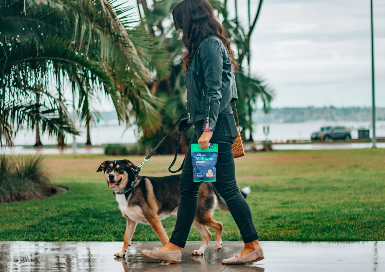 Person walking dog in city