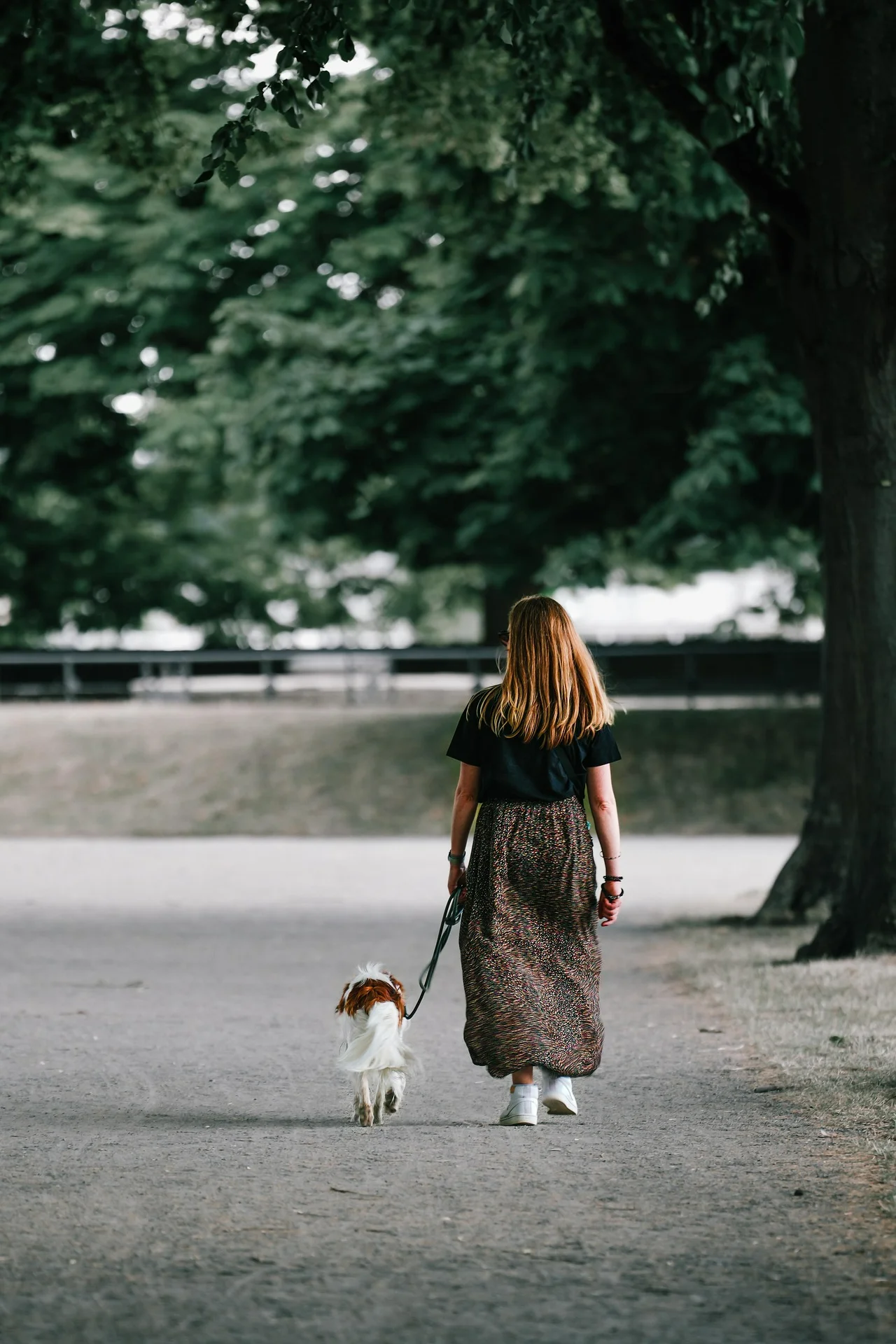 Person walking a dog on a quiet neighborhood