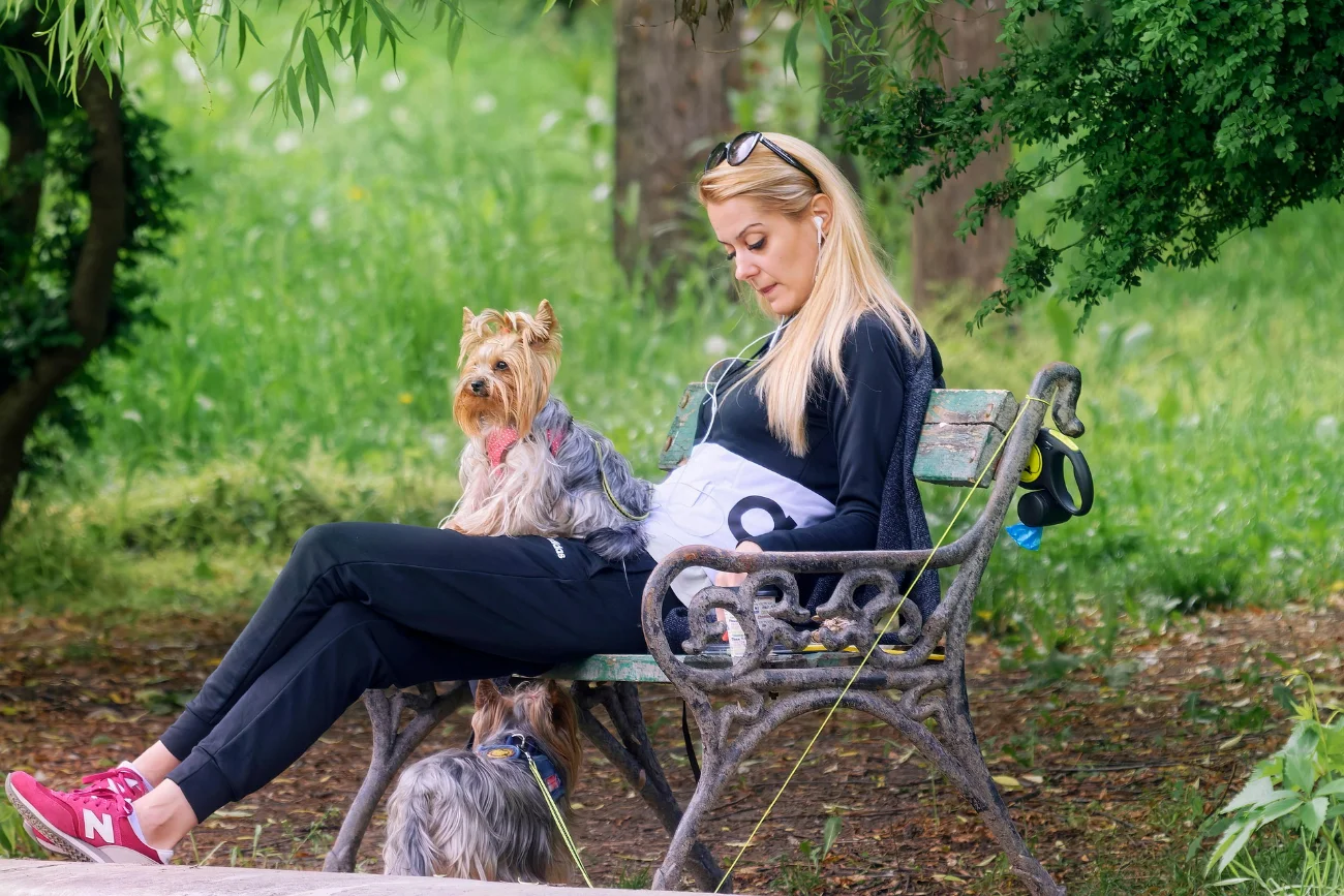 A person alone looking at their phone on a park bench surrounded by people — the digital paradox