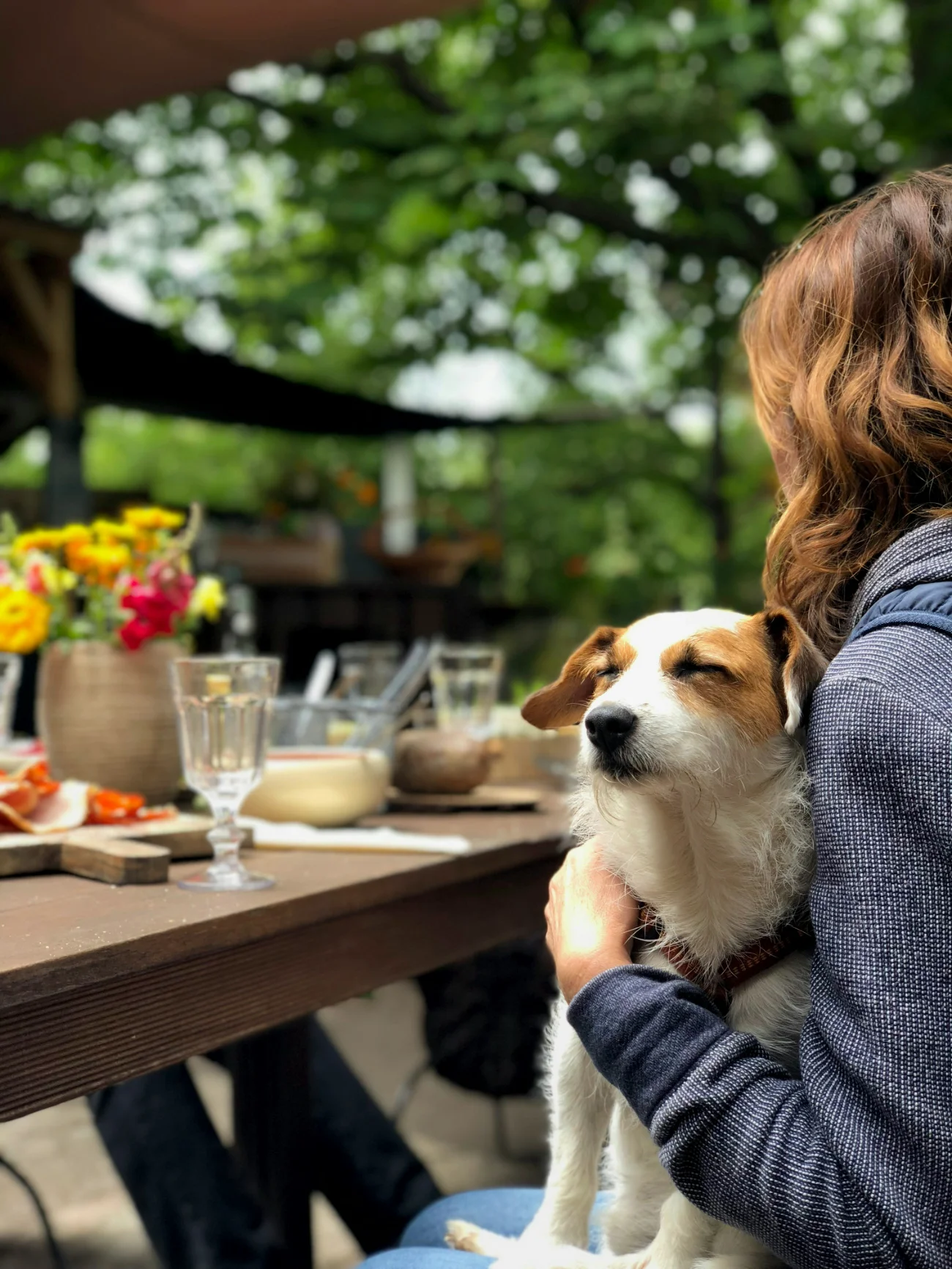 A neighborhood café terrace on a warm afternoon, a dog resting