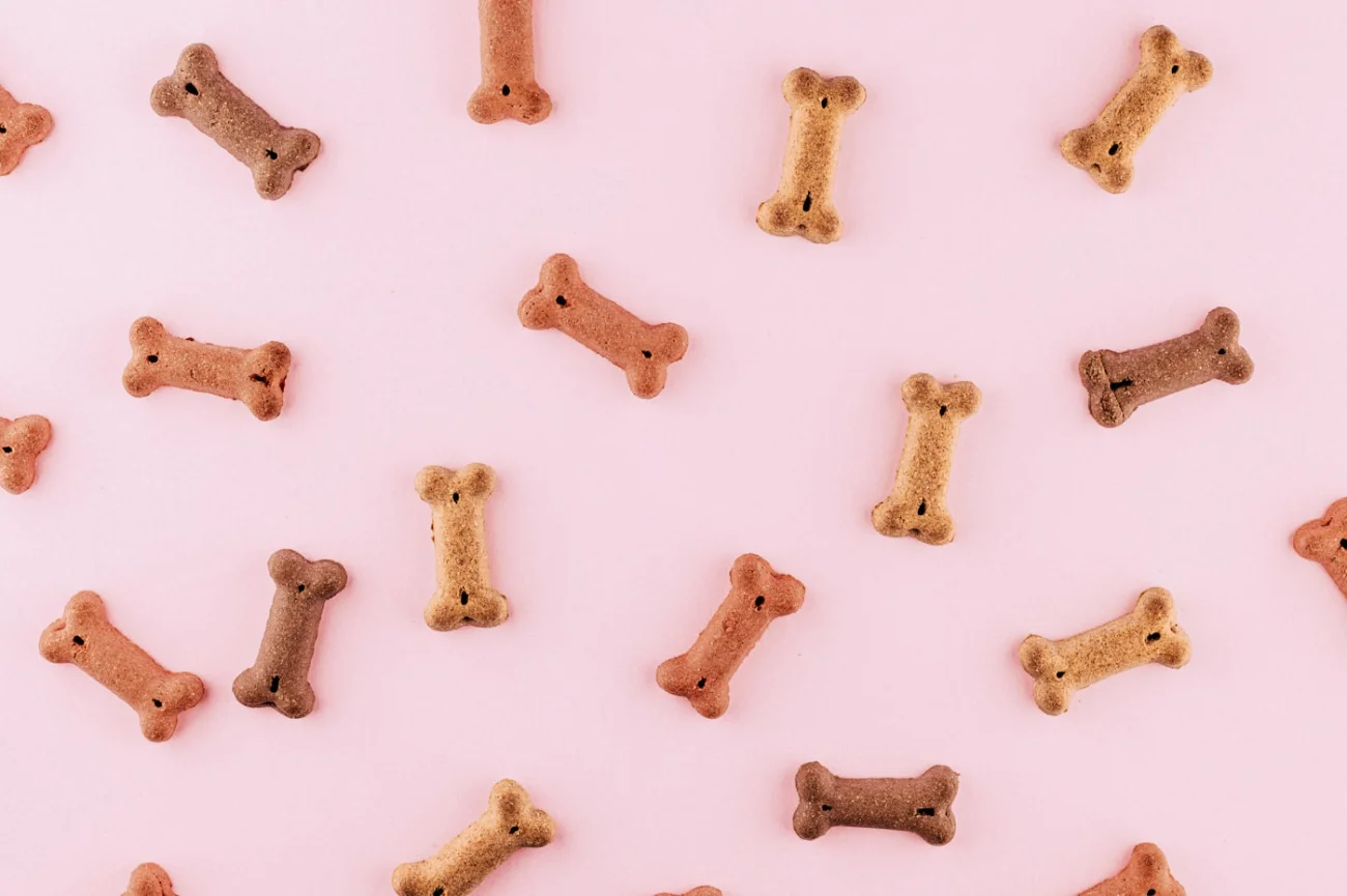 What the law expects for dog owners