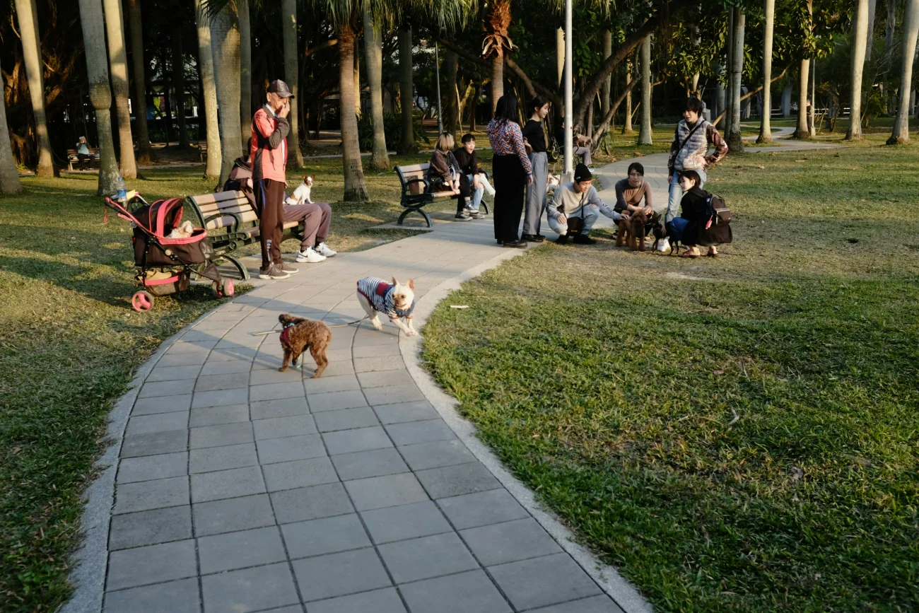 parque-dog-friendly-barcelona