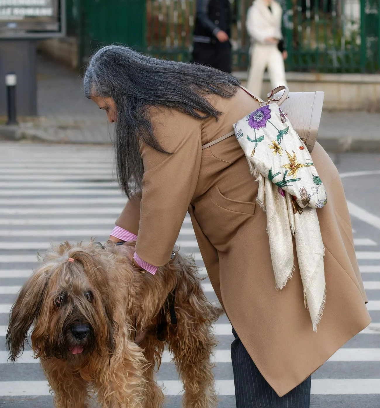 Wide urban park in Barcelona with grass zones, dogs running free